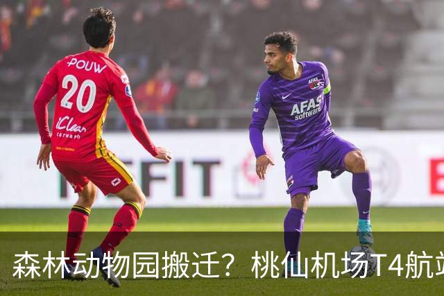 森林动物园搬迁？桃仙机场T4航站楼还有戏？
